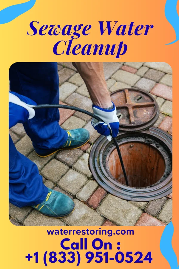 Sewage Water Cleanup in Marion, AR